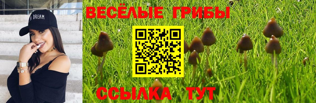 Псилоцибиновые грибы Psilocybe Миасс